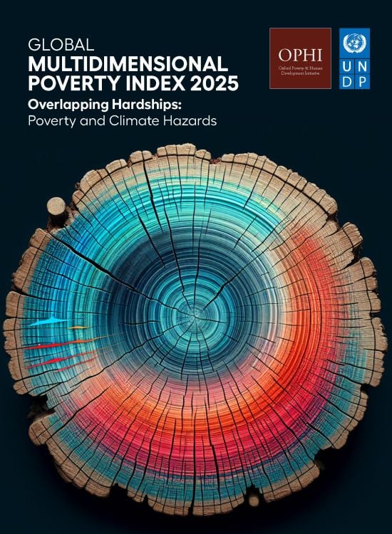 MPI_2025_Coverpage.jpg