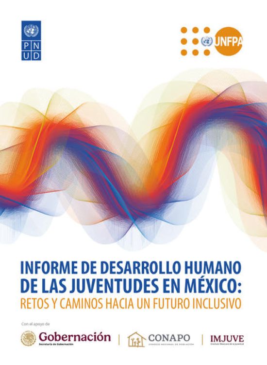 Publication report cover: Challenges and Paths to an Inclusive Future