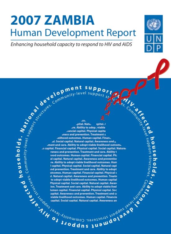 Publication report cover: Enhancing household capacity to respond to HIV and AIDS