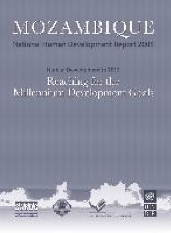 Publication report cover: Millenium Development Goals