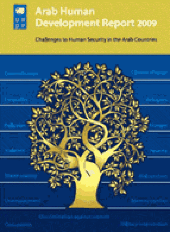 Challenges To Human Security In The Arab Countries Human Development 