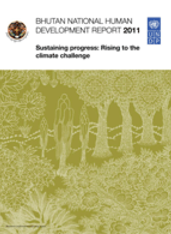 Sustaining Progress | Human Development Reports