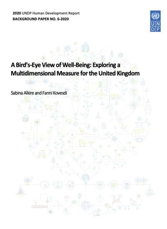 Publication report cover: A Bird’s-Eye View of Well-Being: Exploring a Multidimensional Measure for the United Kingdom