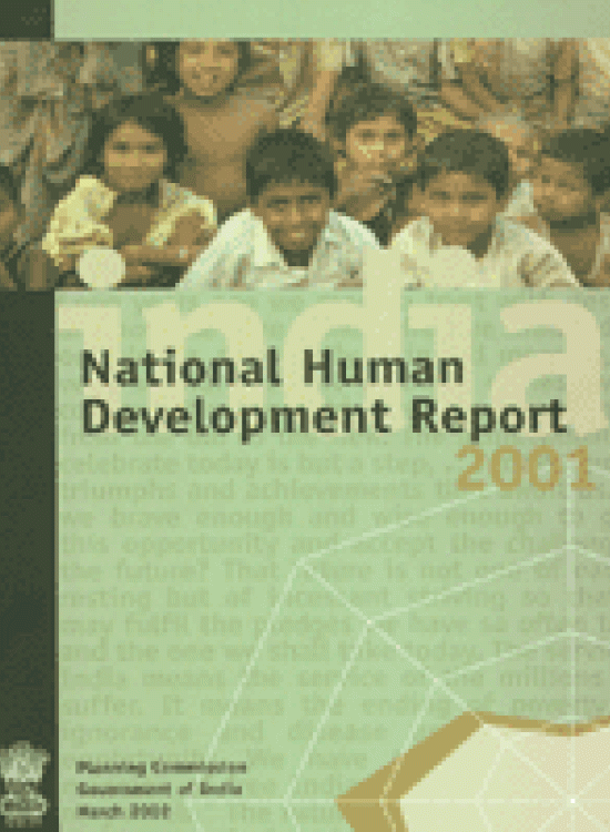 Publication report cover: National Human Development Report 2001