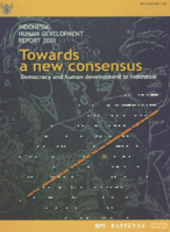 Publication report cover: Towards a New Consensus: Democracy and Human Development