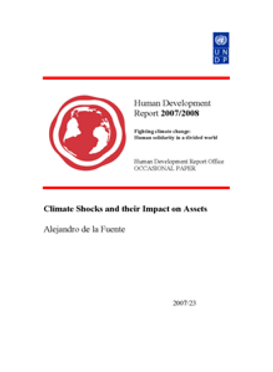 Publication report cover: Climate Shocks and their Impact on Assets