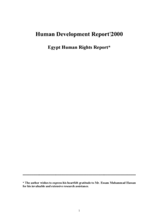 Publication report cover: Egypt Human Rights Report