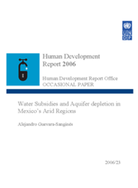 Publication report cover: Water Subsidies and Aquifer depletion in Mexico’s Arid Regions