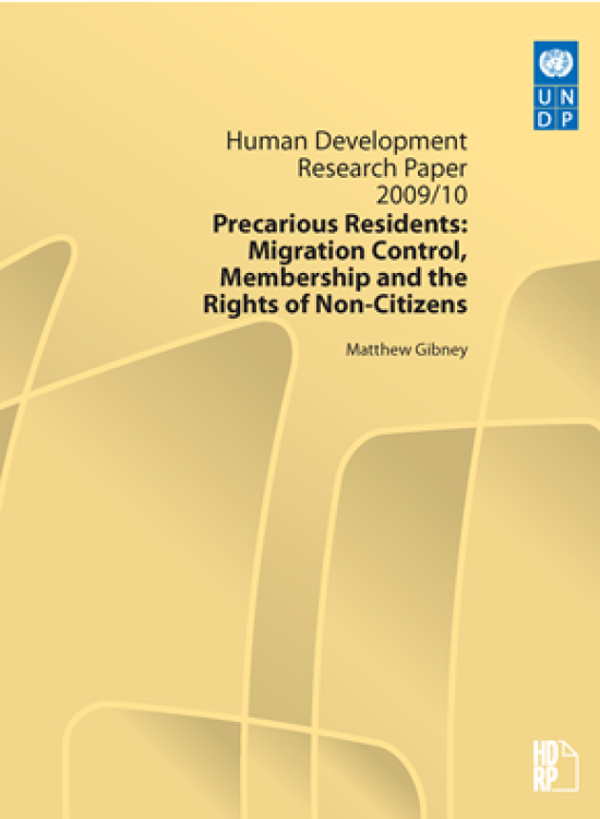 Publication report cover: Precarious Residents
