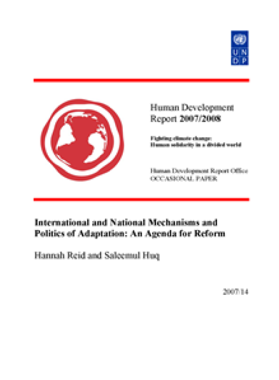 Publication report cover: International and National Mechanisms and Politics of Adaptation