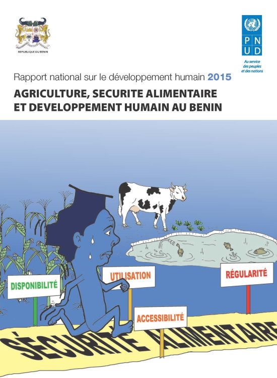 Publication report cover: National Human Development Report for Benin 2015