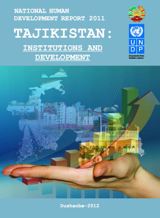 Publication report cover: Institutions and Development