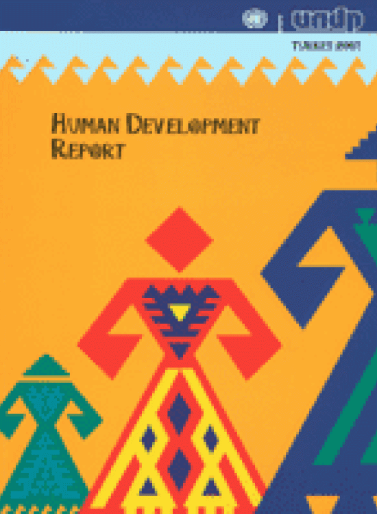 Publication report cover: Measuring Turkey's Human Development Performance