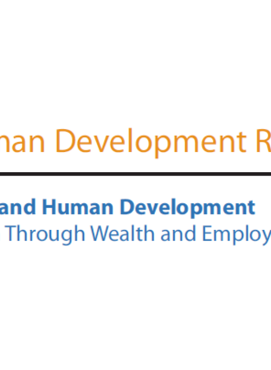 Publication report cover: National Human Development Report: Zambia