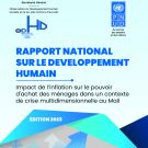 RNDH 2023 Report - Mali