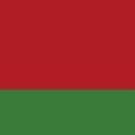 Flag: Belarus