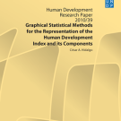 2010 Occasional Paper