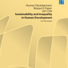 2011 Occasional Paper