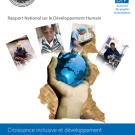 Cameroon NHDR