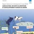 National Human Development Report for Benin 2015