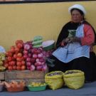 Street Vendor